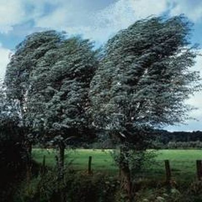 Meteorologii au emis, sambata, o atentionare de vant puternic