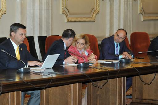 Vicepresedintele Senatului: Comisia Nana si-ar putea inceta activitatea!