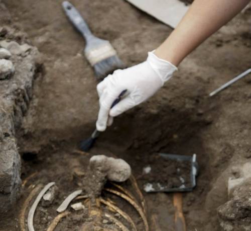 Timisoara: Descoperire incredibila in Piata Unirii