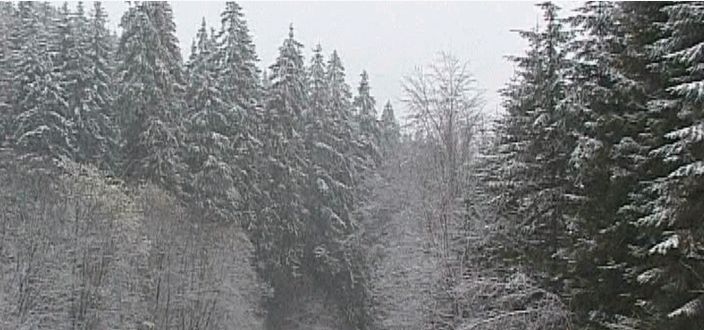 Peisaje de mijloc de decembrie, in timpul primaverii. Zapada a dat mari batai de cap turistilor de la munte!