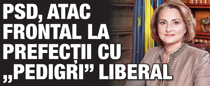 PSD, atac frontal la prefectii cu ”pedigri” liberal