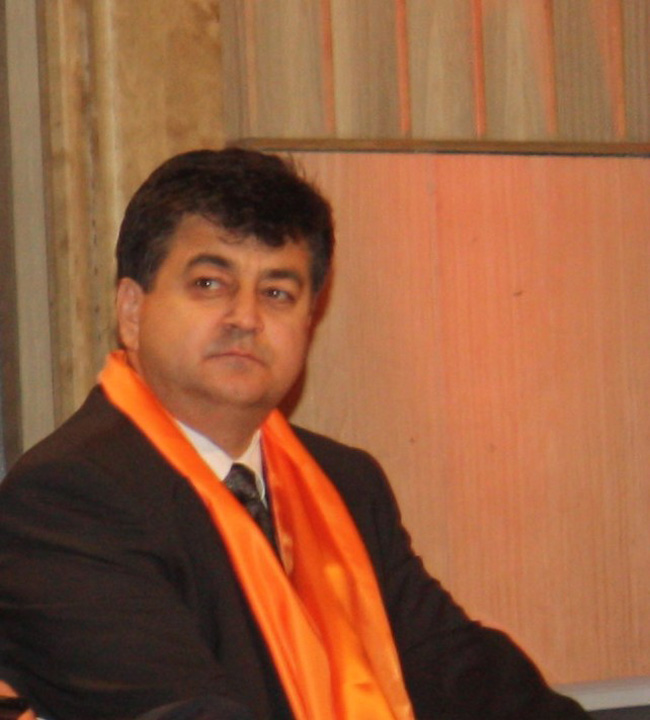 tinel gheorghe - rica petrescu - Ziarul National