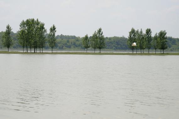 Cod portocaliu de inundatii pe Dunare!