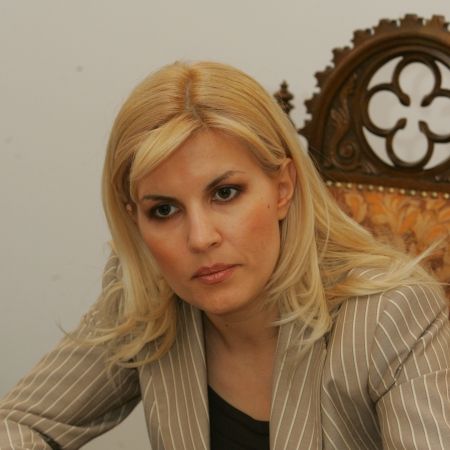 Guvernul acuza nereguli in utilizarea Fondului de Mediu, in perioada cand ministru interimar era Elena Udrea
