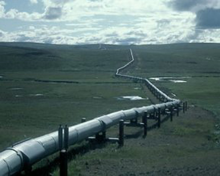 gaspipe - Ziarul National