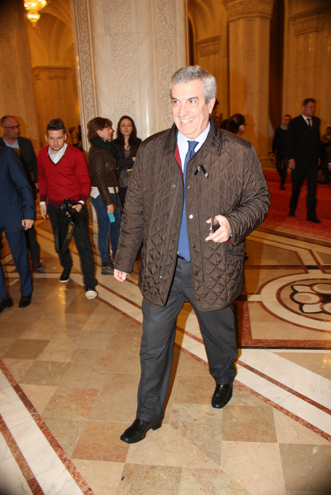 tariceanu - rica petrescu - Ziarul National