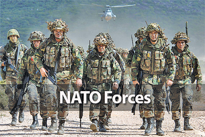 NATO-forces - Ziarul National
