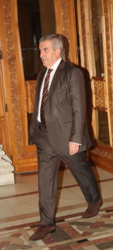 Tariceanu - rica petrescu - Ziarul National