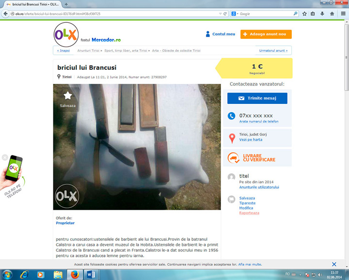 Briciul lui Brancusi, la vanzare pe internet pentru doar 1 euro