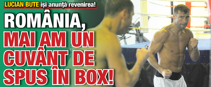 Bute isi anunta revenirea – Romania, mai am un cuvant de spus in box!