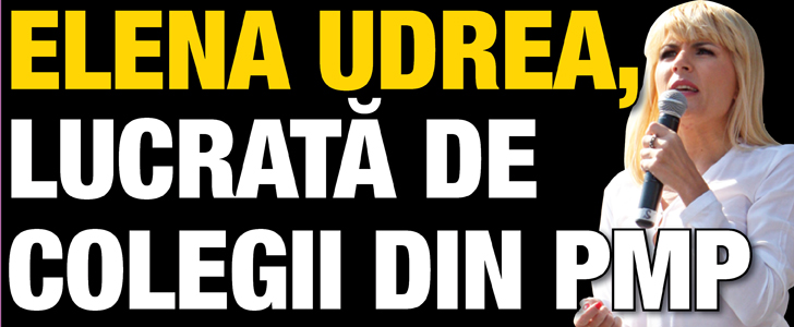 Udrea, lucrata de colegii din PMP