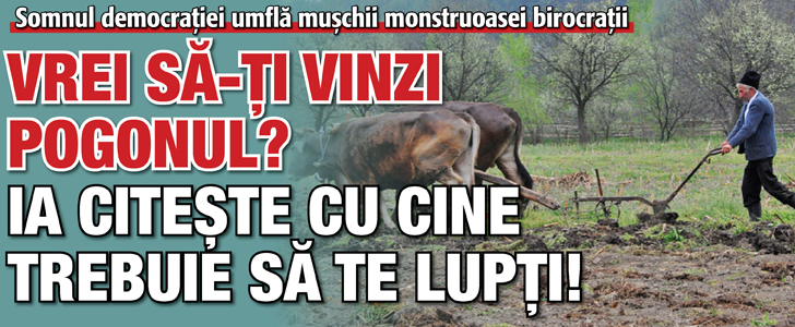 Vrei sa-ti vinzi pogonul? Ia citeste cu cine trebuie sa te lupti