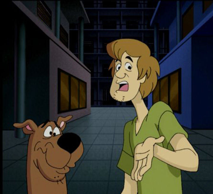 shaggy - Ziarul National
