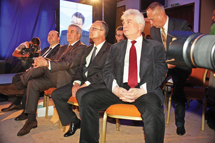 tariceanu grup - rica petrescu - Ziarul National
