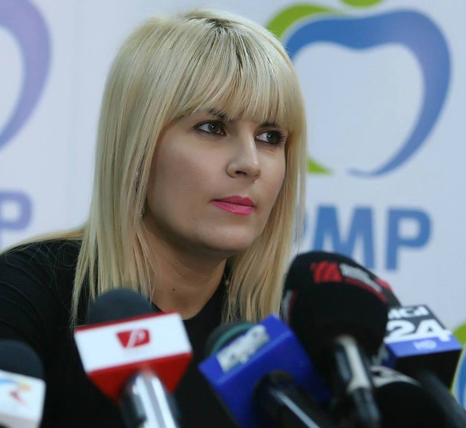 Udrea: Ponta, chiar daca este un jurist slab, stie ca nu s-a incalcat Constitutia. E o strategie de campanie