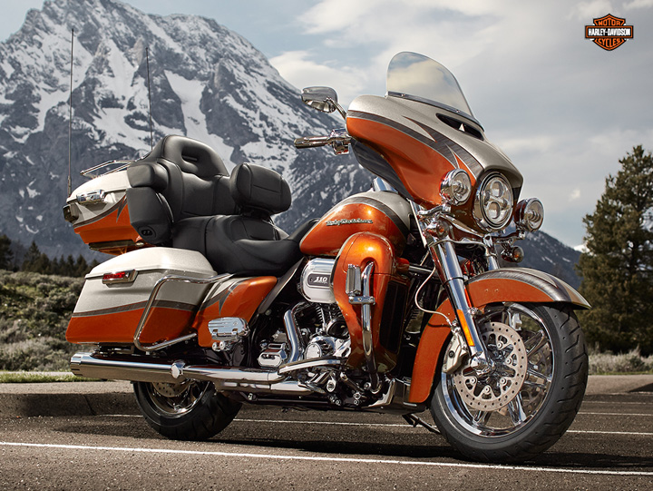 Harley Davidson are probleme la frane
