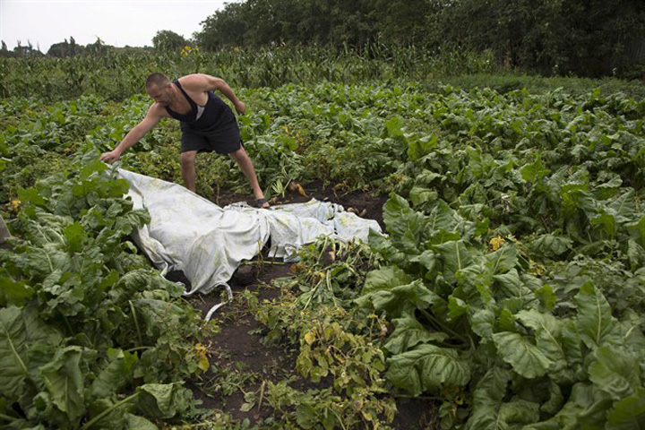 cadavre in gradinile oamenilor - Ziarul National