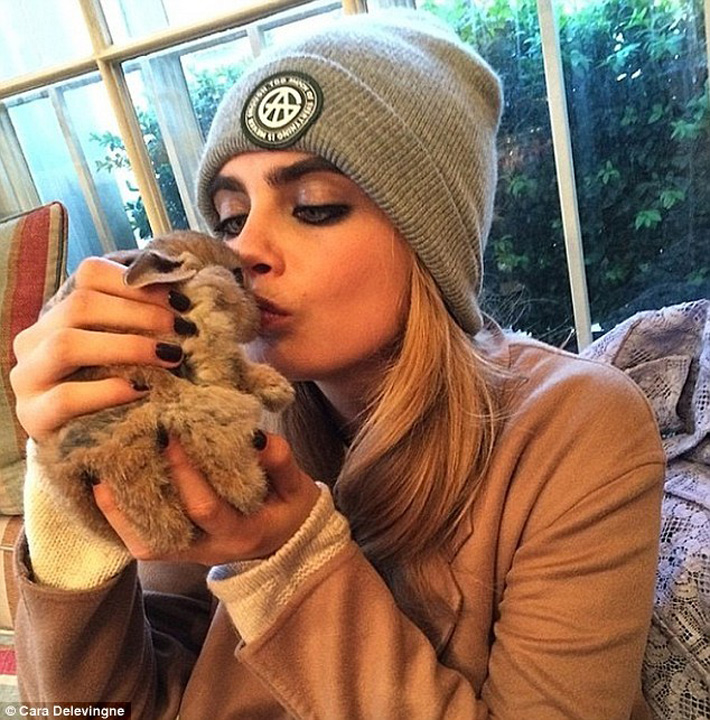 Cara Delevingne  a angajat bona pentru iepure