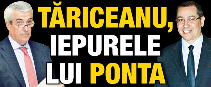 Tariceanu, iepurele lui Ponta