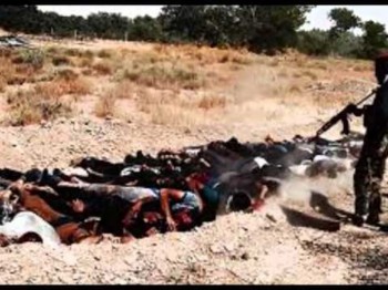 executie irak - Ziarul National