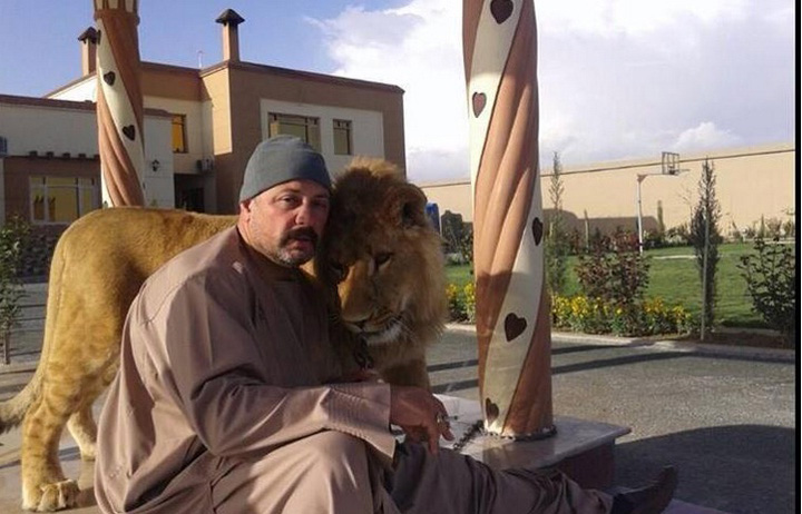hashmat karzai - Ziarul National