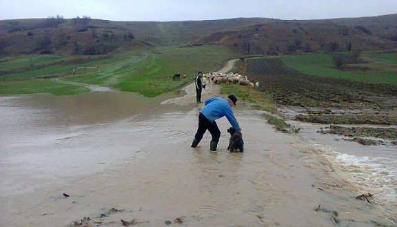 CODUL PORTOCALIU, prelungit. Noua judete sub avertizare de inundatii!