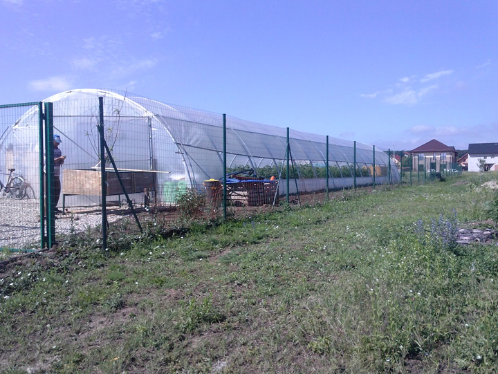 Statul cere returnarea finantarilor primite de tinerii fermieri