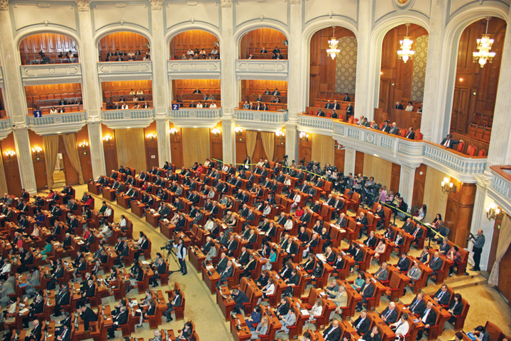 plen -rica petrescu - Ziarul National