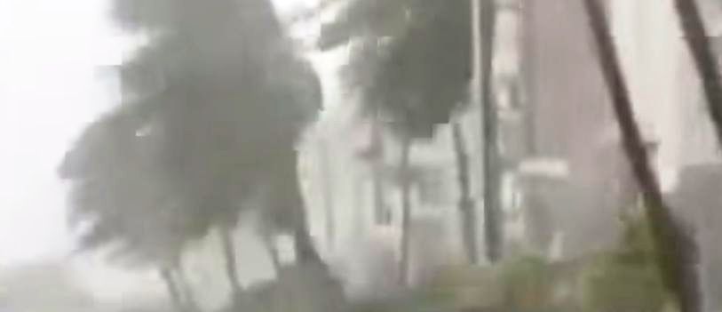 Taifunul Rammasun a facut prapad in China si Filipine, curmand peste 100 de vieti (VIDEO)