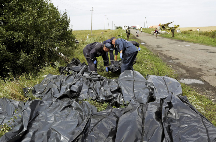 Malaysia Airlines plane crashes in eastern Ukraine - Ziarul National