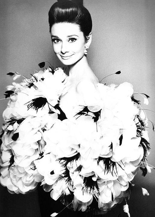 audrey cu fulgi - Ziarul National
