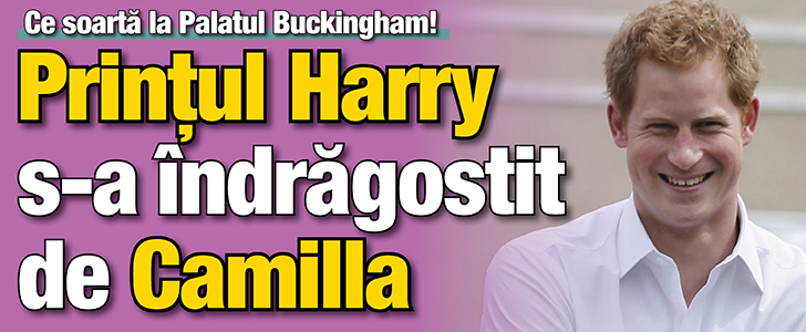 Printul Harry s-a indragostit de Camilla