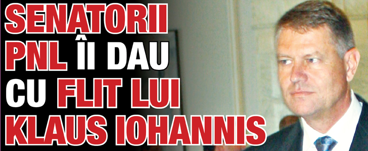 Senatorii PNL ii dau cu flit lui Iohannis