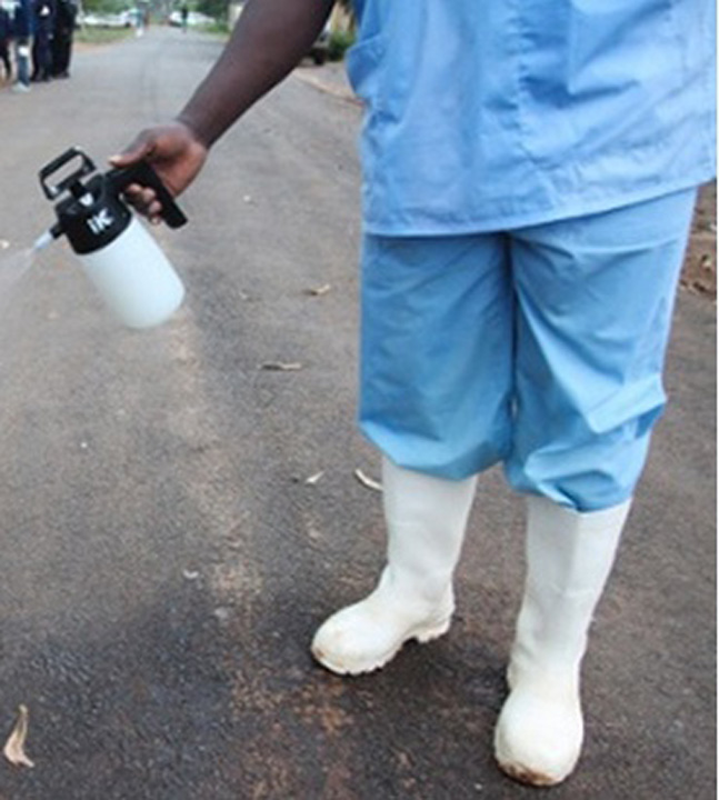 ebola - Ziarul National