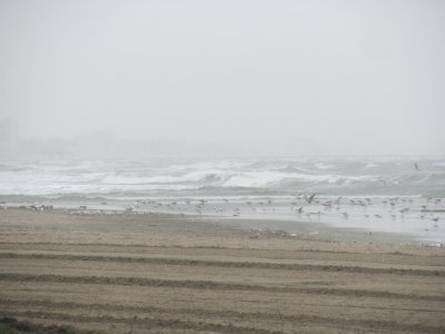Copil gasit fara suflare in mare, la Constanta