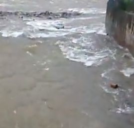 Inundatii in Coreea de Sud: cinci morti si patru disparuti, in urma ploilor puternice (VIDEO)