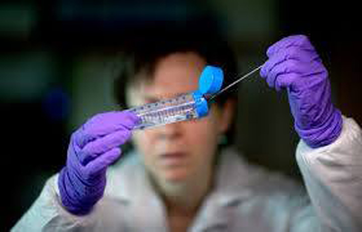 listeria - Ziarul National