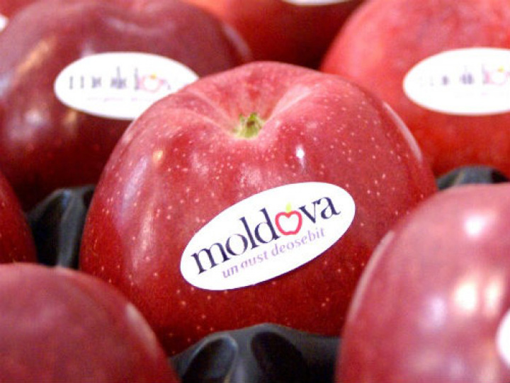 moldova fruit - Ziarul National