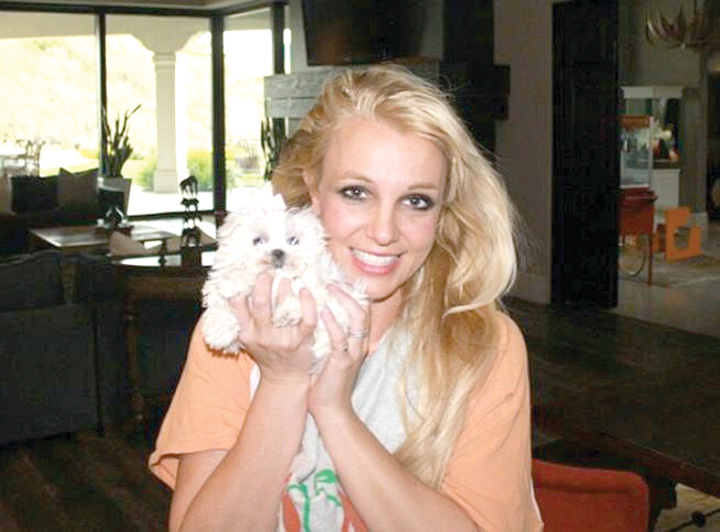 Britney Spears cheltuie 30.000 de dolari pe an pentru opt labute