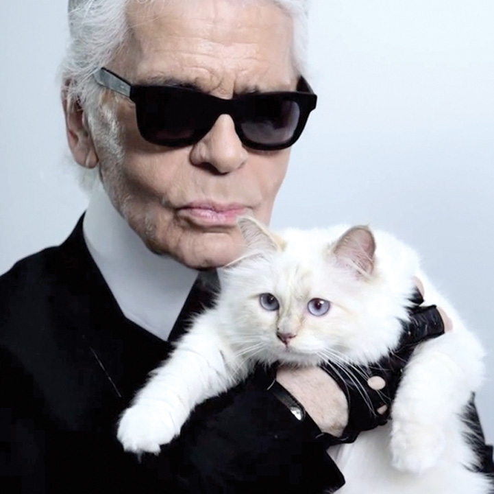 Choupette, pisica lui Karl Lagerfeldf, are deja propria biografie