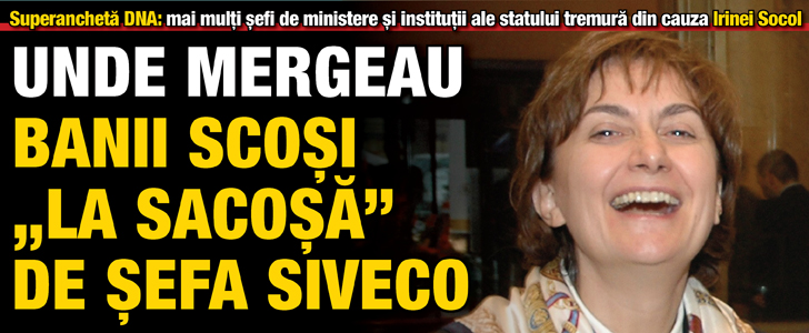 Unde mergeau banii scosi “la sacosa” de sefa SIVECO