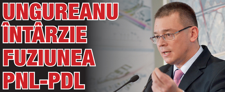 Ungureanu intarzie fuziunea PNL-PDL