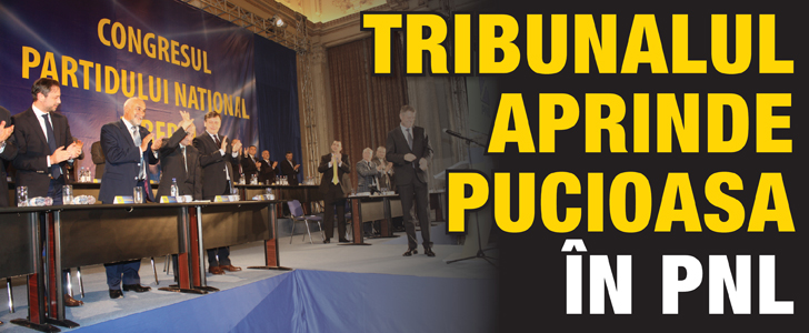 Tribunalul aprinde Pucioasa in PNL