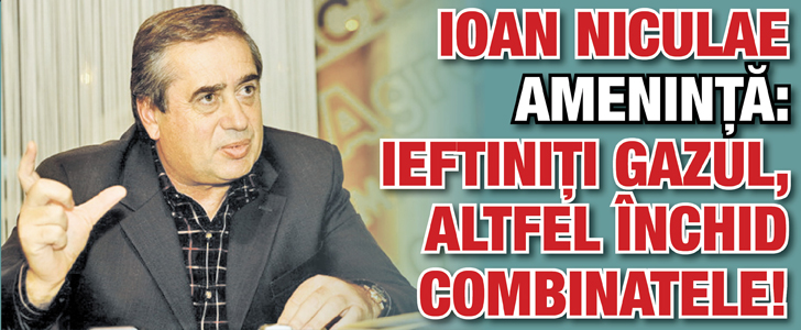 Ioan Niculae ameninta: Ieftiniti gazul, altfel inchid combinatele!