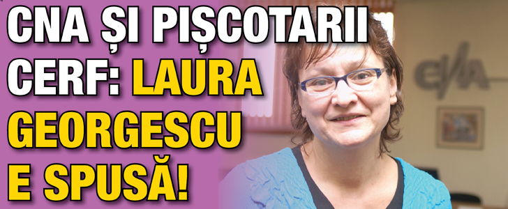 CNA si piscotarii CERF: Laura Georgescu e spusa