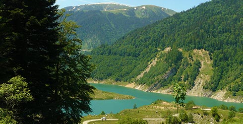 Deznodamant dramatic in cazul fetei disparute in Retezat: Fata a fost gasita moarta!