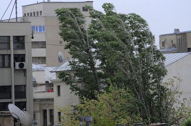 COD GALBEN de vant puternic pentru Bucuresti si mai multe judete!