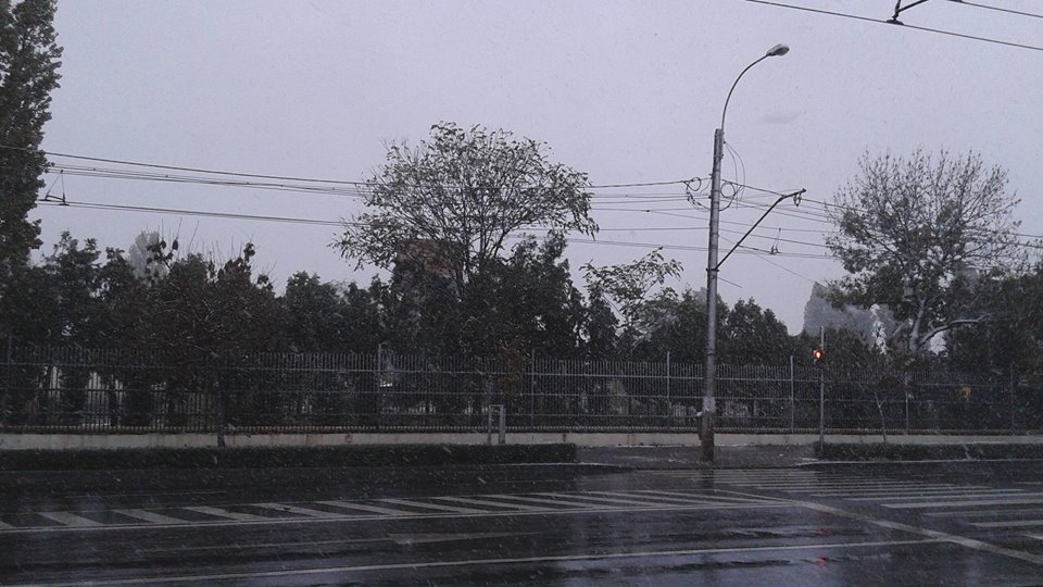 Ninsoarea face ravagii in Bucuresti