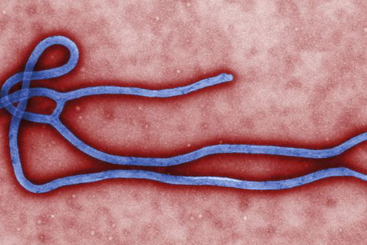 Ebola loveste Statele Unite