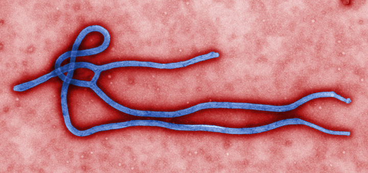 Santaj: ameninta ca raspandesc virusul Ebola in toata Cehia daca nu primesc 1 milion de euro!